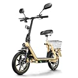 TWOFISH E Scooter mit Straßenzulassung(EEC), Elektro Scooter mit 48V 13Ah...