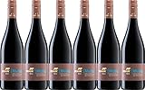 Familienweingut Braun (Mutig Merlot 2022 Trocken (6 x 0.75 l)