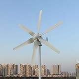 800 W Wind Turbine Generator 12 V 24 V 48V, 6-Blade Horizontal Wind Turbine...