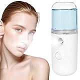 Nano Facial Mister Tragbare Mini Cool Mist Handy Sprayer Professionelle...