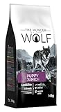 The Hunger of the Wolf Hundefutter für Welpen und Junghunde aller Rassen,...