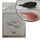 Triops Mix (Urzeitkrebse) - 100 Eier von Hand gezählt mit Futter und...