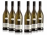 Canti - Prosecco D.O.C. Stelvin Spritziger Extra trockener Wein,...