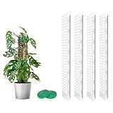 MIXC Moosstab Rankhilfe Monstera 4 Stück 61cm Pflanzstab Plastik...