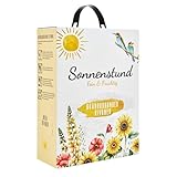 Sonnenstund Grauburgunder & Rivaner 3 Liter Wein-Box, fein & fruchtig mit...
