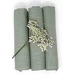 Farnberg Geschirrtücher Leinen, Trockentücher Grün Uni | Reinleinen,...