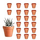 HDKAJL Tontöpfe Klein, 20 Stück Mini Blumentopf, Tontöpfe zum Basteln,...