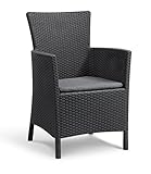 Allibert 218760 Dining Sessel Montana, Rattanoptik, Kunststoff, graphit