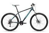 HEAD Unisex – Erwachsene Troy 1.0 Mountainbike, matt blau, 41