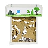 AntHouse - Natürliche Ameisenfarm aus Sand | Acryl T Kit 15x15x1,5cm |...