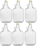 lilawelt24 6 x 5L GLASBALLON Weinballon GÄRBALLON GLASFLASCHE Flasche...