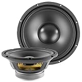 Fenton WP25 - Einbaulautsprecher HiFi Tieftöner Bass Lautsprecher, 25cm,...