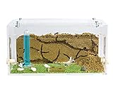 AntHouse - Natürliche Ameisenfarm aus Sand | Acryl Starter Set 20x10x10 cm...