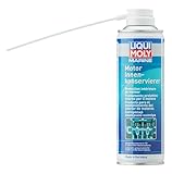 LIQUI MOLY Marine Motor Innenkonservierer | 300 ml | Bootspflege |...