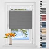 Wabenplissee Plissee Klemmfix ohne Bohren Verdunkelung Zweifarbig...