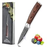 Wakoli Edib Damast Officemesser I Scharfe 8 cm Klinge aus 67 Lagen...