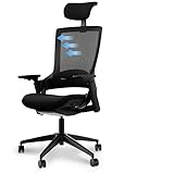 Ergotopia NextBack | Ergonomischer Bürostuhl gegen Rückenschmerzen |...