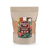 NaturaForte Bio Hagebuttenpulver 1kg – Natürliche Rohkostqualität aus...