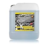 PAINTSYSTEMS REFINISH COLOURS Fast X Kaltreiniger & Motorreiniger 5L