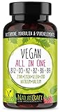 Vegan All-in-One - Vitamin B12+D3+K2+B2+B6+B9 Folsäure + Zink + Eisen +...