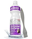 Ricostar Schimmelentferner mit Pinsel 750 ml – Reinigungsmittel zur...
