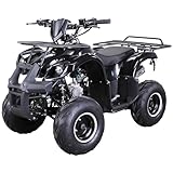 Actionbikes Motors Kinder Quad ATV S-8 Farmer 125 cc | 4-Takt 125ccm Motor...