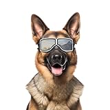 NAMSAN Hundebrille UV-Schutz, Winddicht, Staubdicht, mit Verstellbarem...