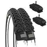 ECOVELO EBI20MAE 2 Reifen 20 x 1.75 (47-406) + Schläuche mit...