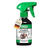 RepellShield® Pfefferminzöl Spinnenspray - 250ml - Ultrakonzentriertes...