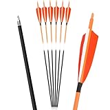 FQH 31' Carbon-Pfeile für Bogenschießen 500 Spine 5/4 Zoll echte Federn...