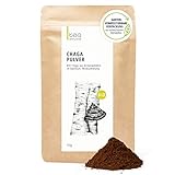 Chaga Pilz Pulver BIO Wildsammlung aus Birkenwäldern im Baltikum, Chaga...