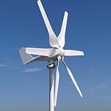 Windkraftanlage 800W mit MPPT Laderegler, 3-Phasen AC Horizontale...