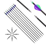 6 Stück 21-Zoll 400-Spine Pfeil Abnehmbare Pfeilspitzen Übungspfeil...