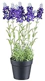 artplants.de Kunstblume Lavendel KLUSTOR im Kunsttopf, lila, 29cm -...
