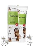 BANO Arlberger Murmelin Sport und Gelenksalbe I Original Murmeltiersalbe I...