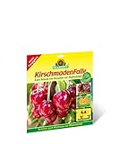 Neudorff KirschmadenFalle – Schützt Kirschen und Walnüsse vor...
