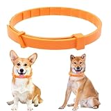 XBFOCNH 1 PCS Verstellbar Zecken- & Flohschutz Halsband Hund, Floh und...