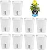MENAYODA 10er-Set Kunststoff Blumentopf mit Bewässerungssystem,...