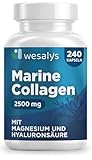 Kollagen Kapseln – 2500mg Marine Collagen Hyaluronsäure Komplex, 240...