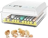 GZYHDC Vollautomatischer digitaler Inkubator für Eier, mit...