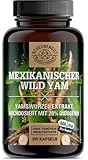 Yamswurzel 1000mg -WICHTIG: 10:1 Extrakt (=10000mg mex. Wild Yams je...