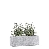 Pflanzwerk® Pflanzkübel Fiberglas Lava HELLGRAU TUB 17x50x17cm...