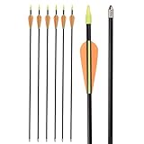 NIKA ARCHERY 30 Zoll Pfeil Fiberglas Bogenschießen Zielpfeile –...