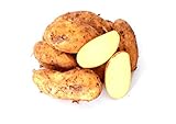 Kartoffeln Speisekartoffeln Annabelle 1-25 KG frische Ernte 2024...