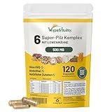 Pilz Komplex, 6 wichtige Pilz Complex als Pilz Kapseln, Lions Mane Kapseln,...