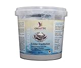 CREARTEC Echter Knetbeton - Bastelbeton - Modellierbeton - schadstofffrei -...