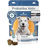 VeloraVet Probiotika Hund – Magen Darmsanierung & Darmkur für...