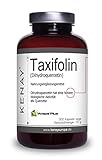 TAXIFOLIN (Dihydroquercetin) 100mg pro Tagesdosis - pflanzliche Kapsel -...