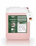 Lorito SW Power Gel 357 Sanitärgrundreiniger Konzentrat 10 L -...