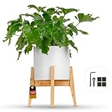 Groon Blumenständer Holz - Verstellbarer Premium Pflanzenständer für...